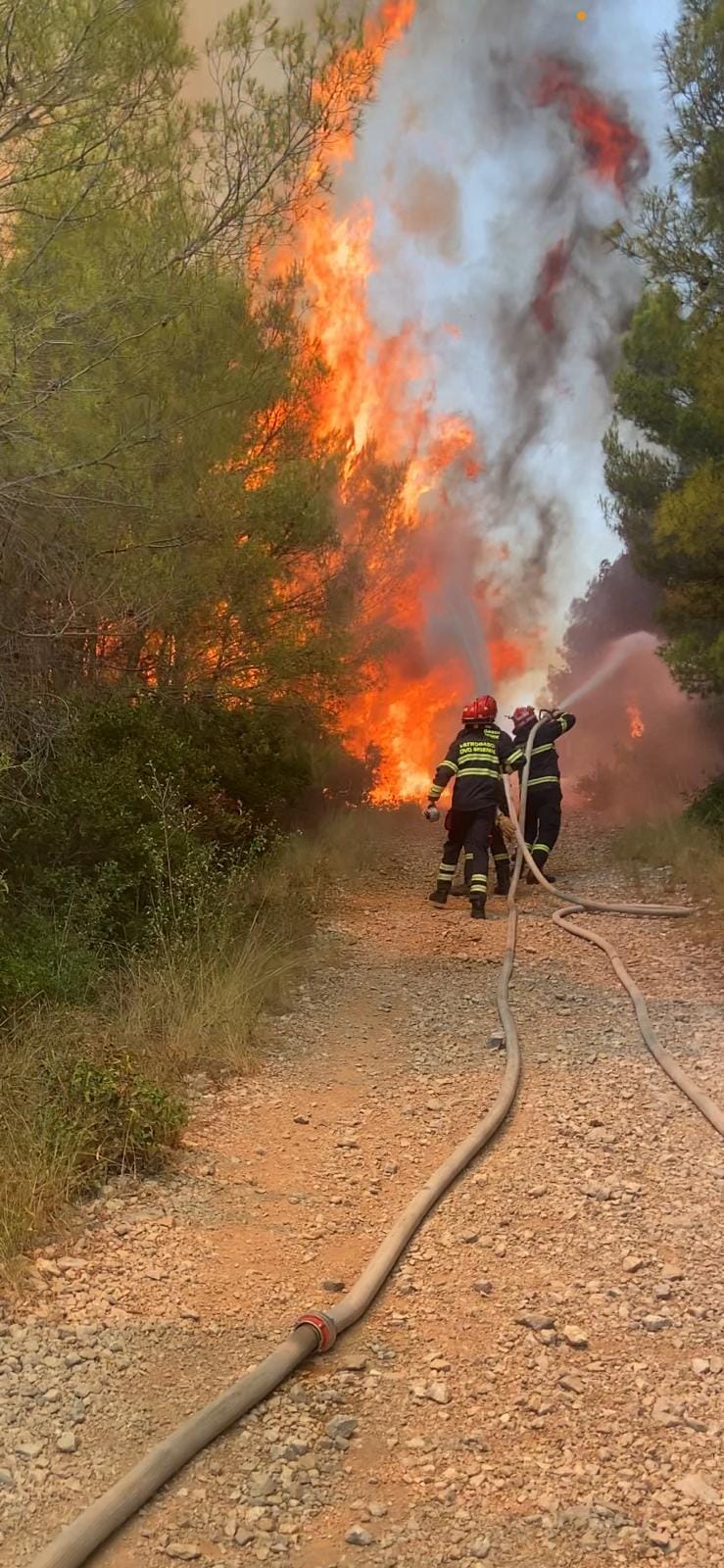 Slika /slike/DVD Šibenik požar šibenik.jpg